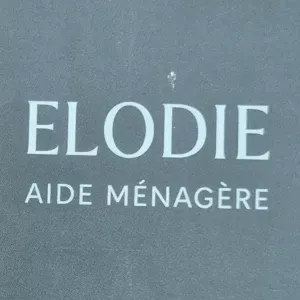 Aide ménagère méticuleuse et serieuse