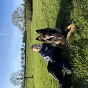 Pet-sitter en province de liège 