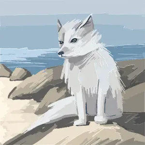 Cerco aiuto pulizie in casa