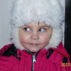 Husdjurspassning, Järbo & Sandviken