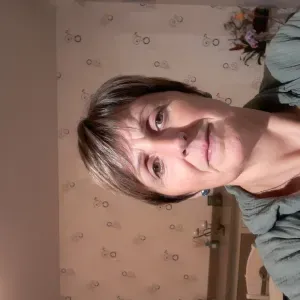 assistante ménagère pré en pail /  st samson  ponctuelle