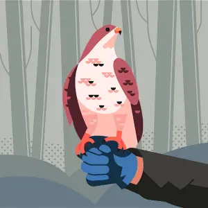 Offre d'emploi pour un(e) aide ménagère à Avignon