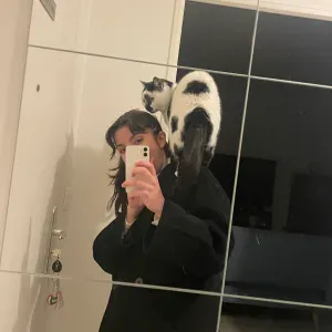 Pet sitter sur Rouen et alentours