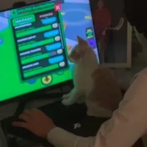 Djurvakt sökes? Jag hjälper gärna!