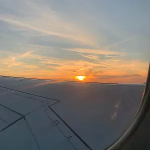 Pet-sitter passionnée et attentionnée avec les animaux