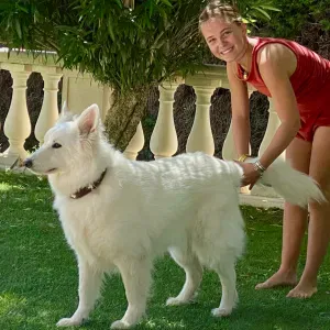 Pet sitter responsable et attentionnée