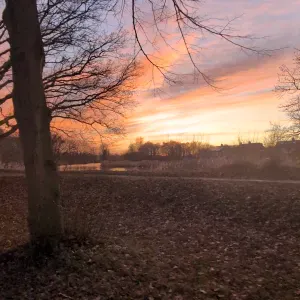 exceptionally reliable and efficient