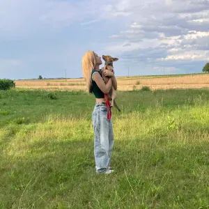 Petsitter (dog/catsitter) opieka nad zwierzętami.
