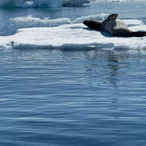 Je cherche un(e) aide ménagère près de chez moi