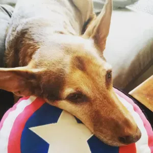 recherche pour promenades