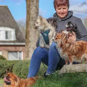 Pet quitter pour câliner et s occuper de vos loulous