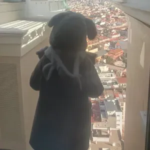 Busco cuidadora de niños Moncloa Madrid