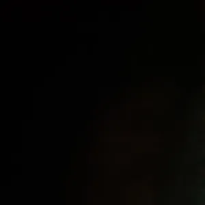 Pet sitter sainte croix volvestre et aléatoire 