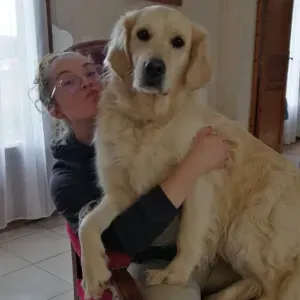 Pet-sitter gouvieux et alentours