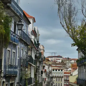 Serviços de Pet Sitting em Lisboa
