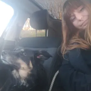 Pet-sitter à Carnoules et alentours