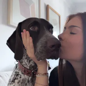 Pet sitting, passeios e cuidados animais em Lisboa