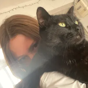 Pet Sitter passionnée à Toulon :)