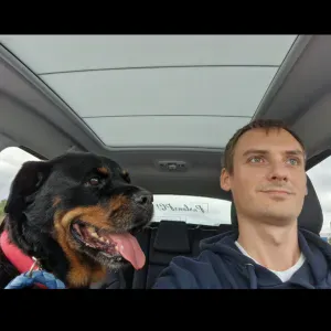 L'amoureux des chiens en métropole de Montpellier 