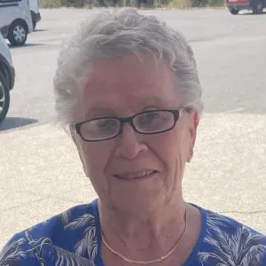 Recherche femme de ménage 2 à 3h par semaine