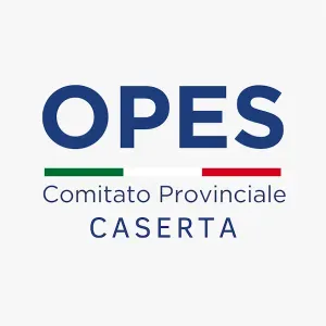 Offerta di lavoro per pulizie a Casagiove