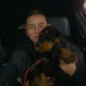 Pet-sitter attentionnée, expérimentée et passionnée 