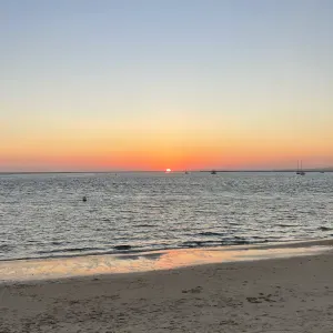 Pet sitting em Lisboa e Oeiras 