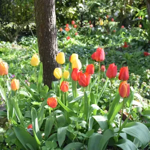 Sortie d'école Meudon 16h30 - 18h40 