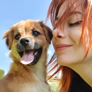 pet sitter ad Albano Laziale e dintorni