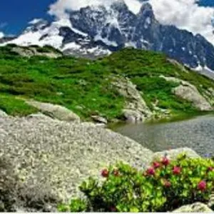 Baby-sitter expérimenté à Orly 