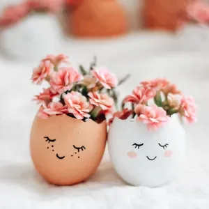 Dame compagnie/aide domicile