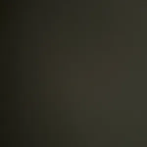 Addetta alle pulizie domestiche