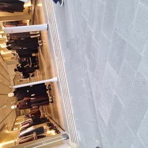 Addetta alle pulizie a San Giuliano, Papiana e Pontasserchio