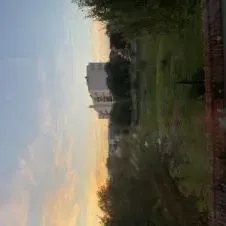 Garde de chats et chatons