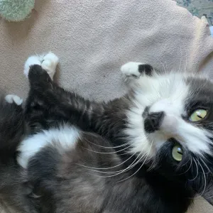 A la recherche d'un job étudiant