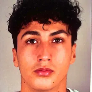 Pet Sitter dans le nord de l'île 