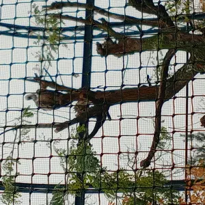 Aide ménagère et aide aux personnes âgées 