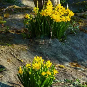 Aide soignante et aide à domicile 