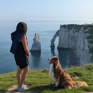 Je recherche une femme/homme de ménage 