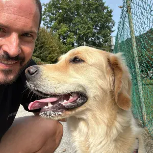 Cerco servizio pulizie a Villa d'Adda