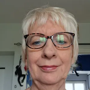 Femme de menage sur conflans ste honorine