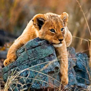 Je cherche une femme de ménage à domicile