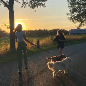 Garde et balades de vos compagnons à Hyères avec un Golden🐾