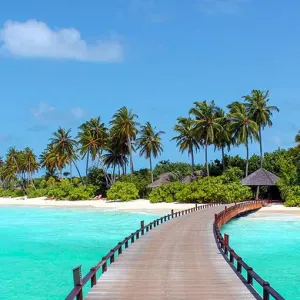 Aide ménagère, aide à domicile