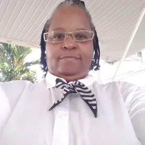 Nounou baby _sitter expérience 