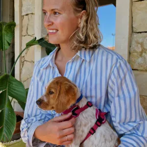 Procura-se sitter para cães em Ericeira/ Mafra (1 noite)