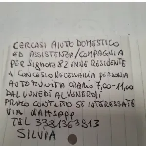 Amorevole badante diurno a Milano 