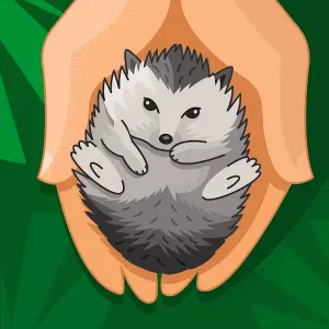 Offerta di lavoro per pulizie a Rosta