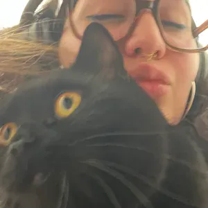 Pet sitter  à Toulouse chats et chiens 