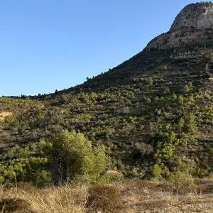 Agent d'entretien professionnel 